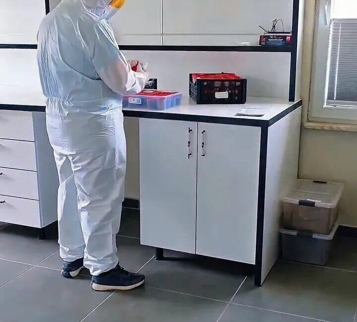 Sinop Orman Bölge Müdürlüğü, ormanlara zarar veren çam kese böceğiyle