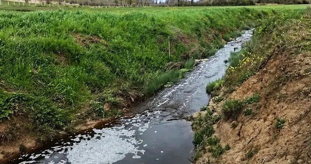 Sinop’ta katı atık depolama tesisine çevre kirliliği ihlalinin tekrarlanması üzerine