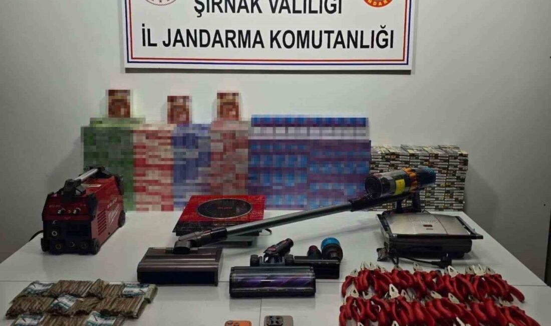 Şırnak’ta bir haftalık operasyonlarda 23 milyon 812 bin lira değerinde