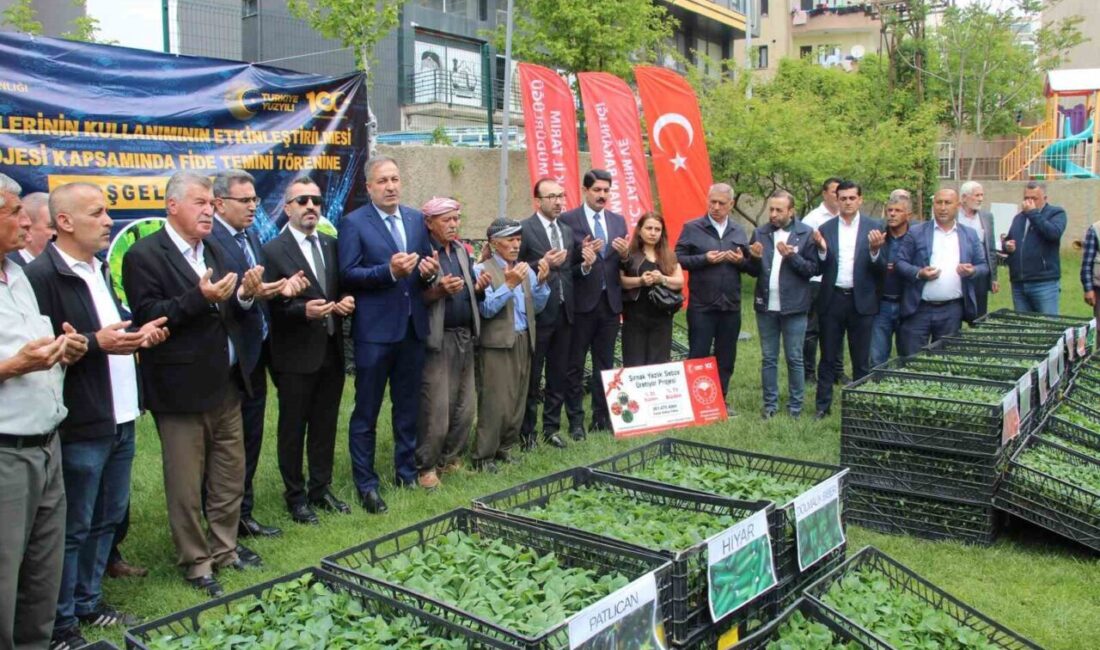 Şırnak’ta çiftçilere yüzde 75 hibeli 361 bin adet sebze fidesi