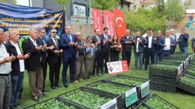 Şırnak’ta çiftçilere yüzde 75 hibeli 361 bin adet sebze fidesi
