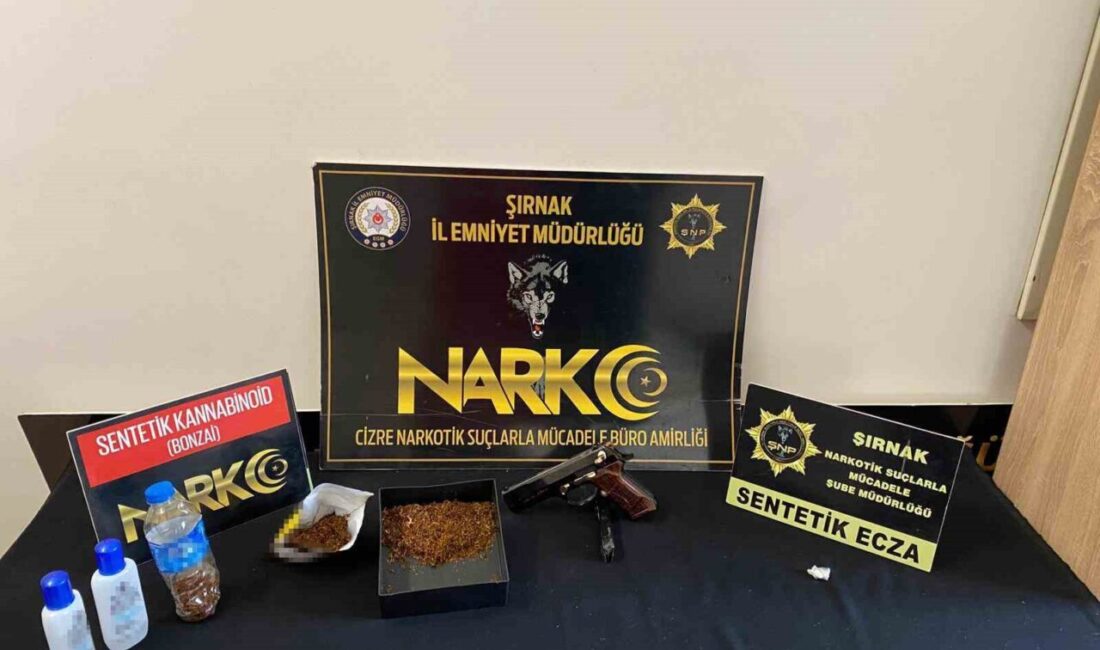 Şırnak’ta asayiş, narkotik ve kaçakçılık operasyonlarında piyasa değeri yaklaşık 7