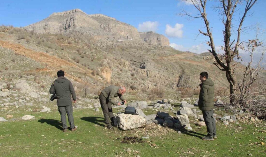 Şırnak’ta doğa ve yaban hayatını korumak amacıyla kaçak avcılığa karşı