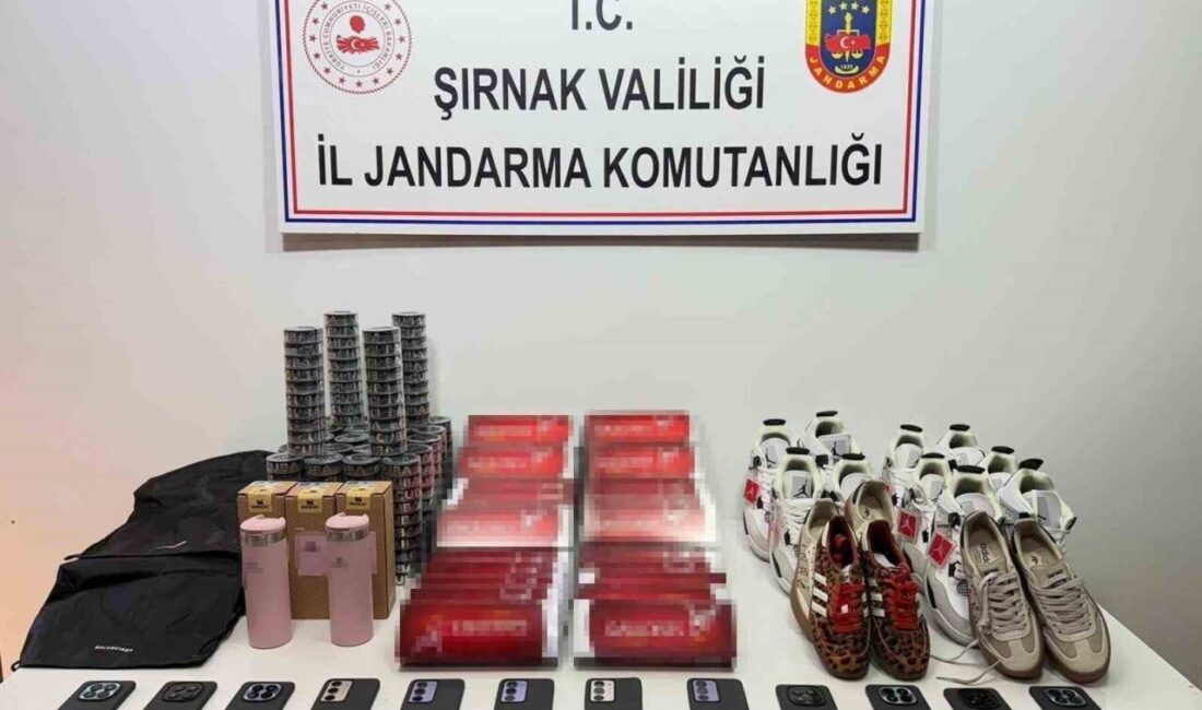 Şırnak İl Jandarma Komutanlığı KOM Şube Müdürlüğü ekipleri, 27 Nisan-03