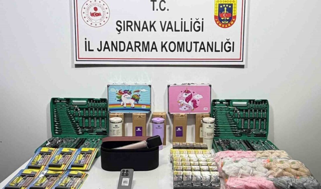 Şırnak’ta bir haftada yürütülen çalışmalarda çok sayıda kaçak ürün ele