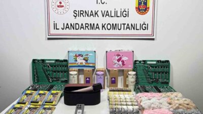 Şırnak’ta bir haftada yürütülen çalışmalarda çok sayıda kaçak ürün ele
