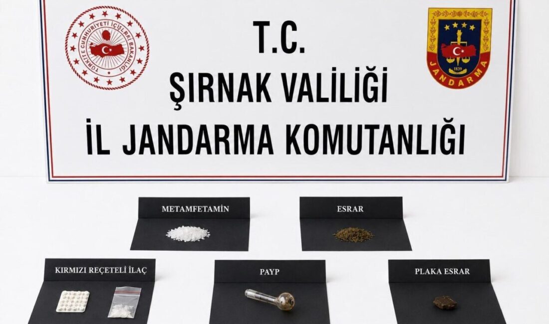 Şırnak’ta bir haftalık operasyonlarda 15 milyon 460 bin 300 lira