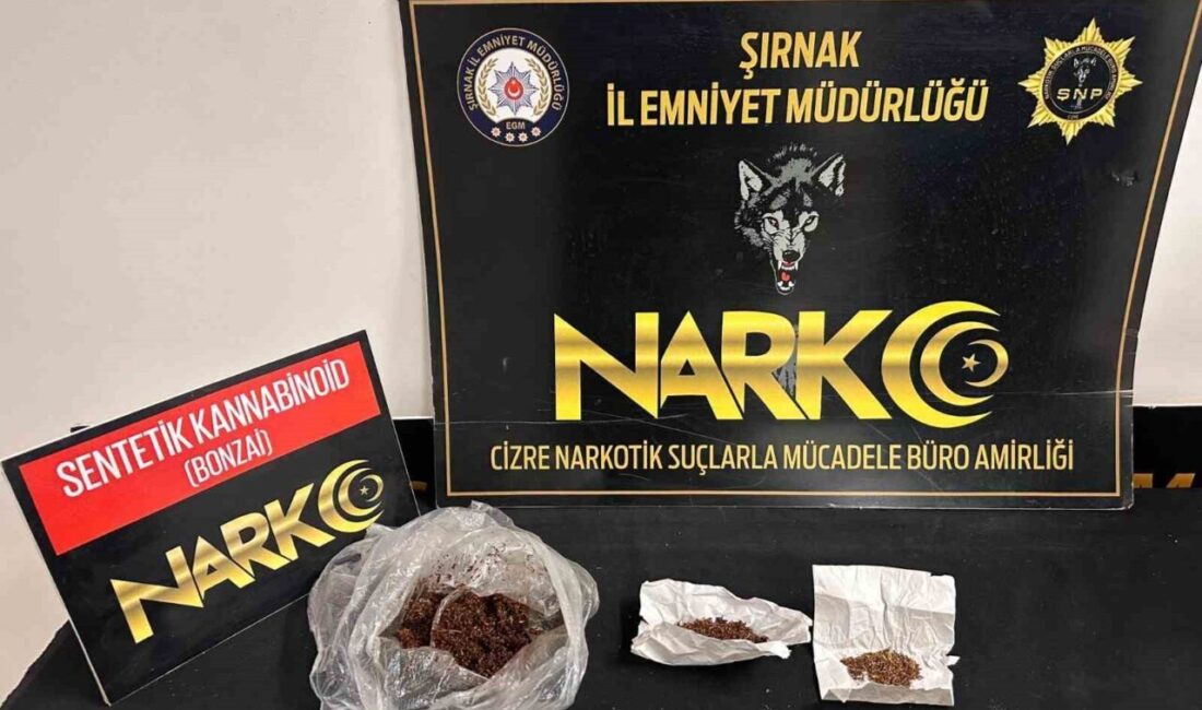 Şırnak’ta gerçekleştirilen operasyonlarda çok miktarda uyuşturucu madde ve kaçak ürün