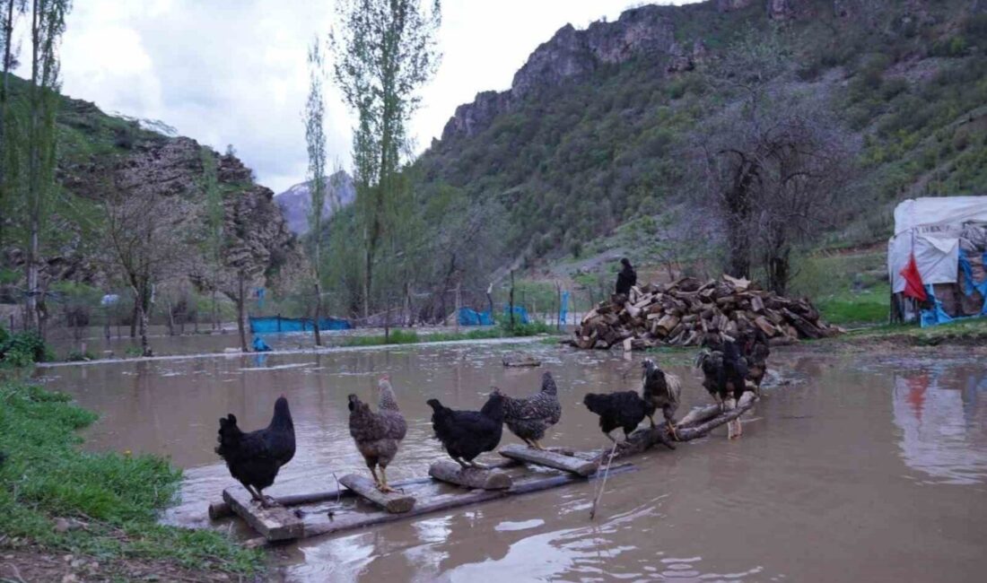 Şırnak’ın Beytüşşebap ilçesinde etkili olan yağışlar ve karların erimesi, Habur
