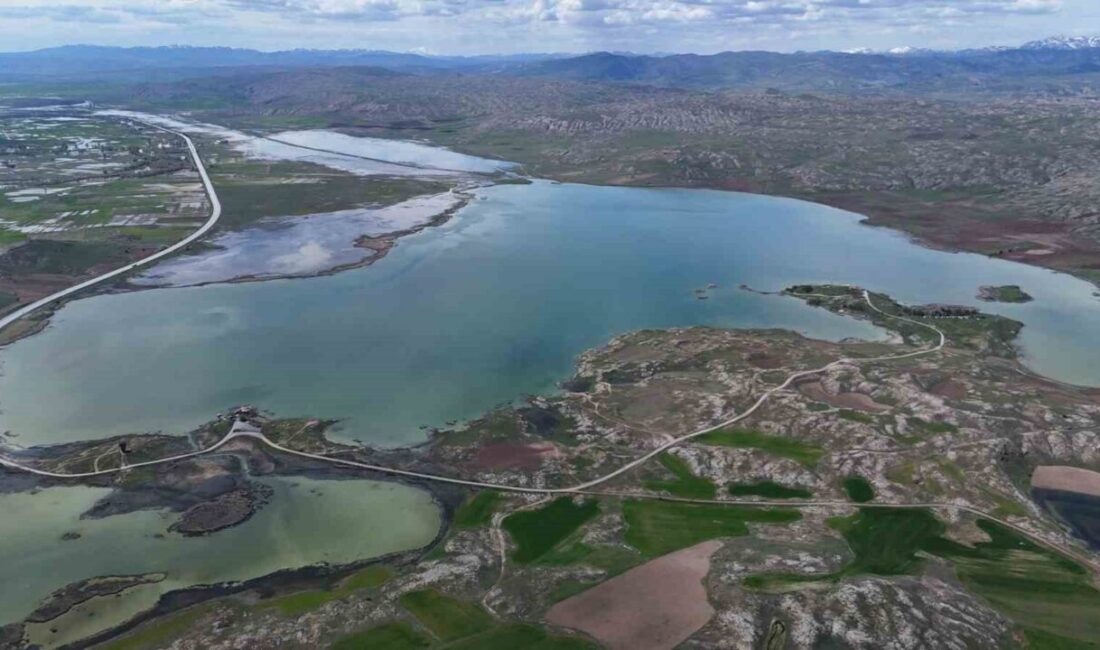 Sivas’ın en büyük gölü olan Tödürge Gölü, yağışlardan nasibini aldı.