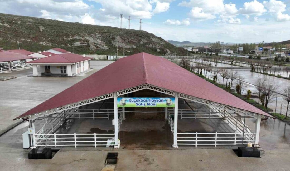 Sivas Belediyesi, 2026 yılı Kurban Pazarı için başvuru ve kura