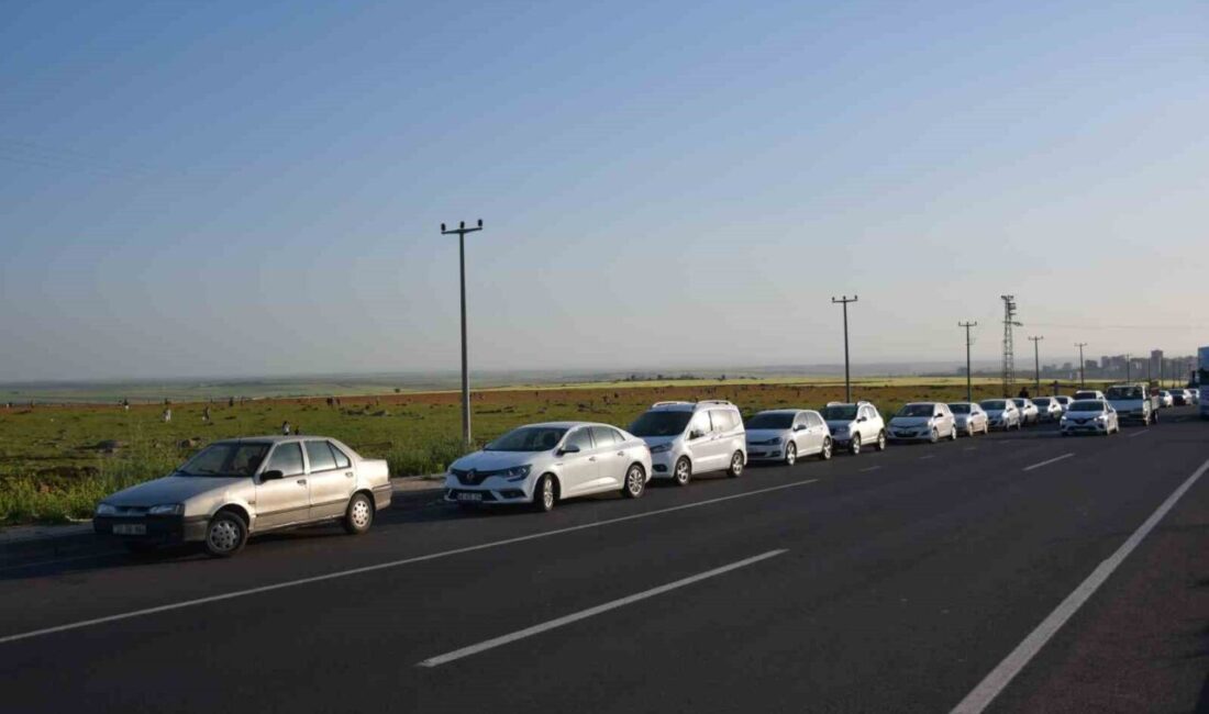 Şanlıurfa’nın Siverek ilçesinde mayıs ayıyla birlikte açan gelincik tarlaları, doğaseverler