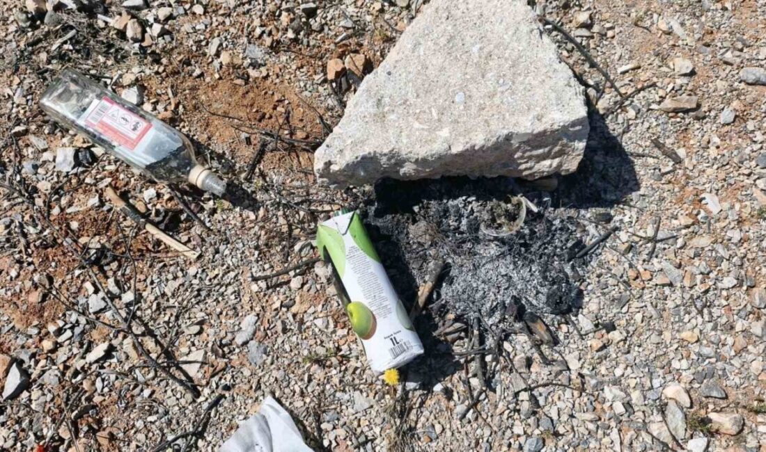 Muğla’nın Menteşe ilçesinde çevresi çam ormanları ile kaplı bir alanda