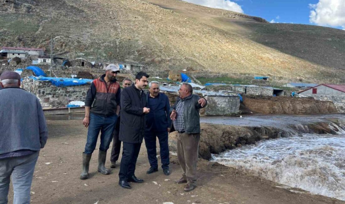 Kars’ın Susuz ilçesinde etkili olan yağışlar ve havaların ısınmasıyla birlikte