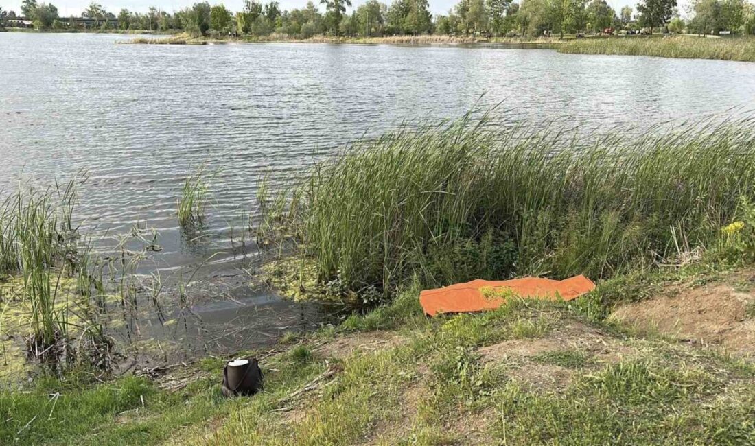 Sakarya’nın Arifiye ilçesinde bir tabiat parkındaki gölette kadın cesedi bulundu.