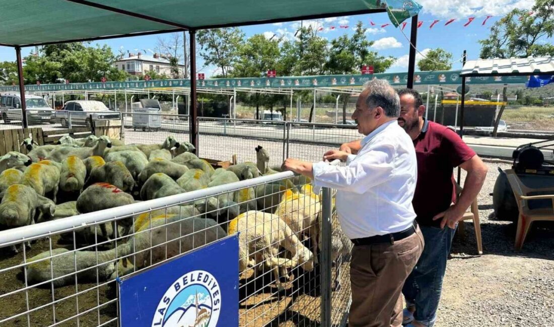 Kurban Bayramı yaklaşırken Talas Belediyesi’nin Reşadiye Mahallesi eski stadyum alanında