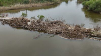 Aydın’ın Söke ilçesine bağlı Sarıkemer Mahallesi’nde, Büyük Menderes Nehri üzerinde