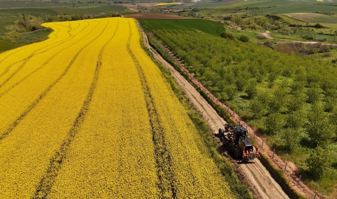 Tekirdağ Büyükşehir Belediyesi, yaklaşan hasat dönemi öncesinde üreticilerin tarlalarına daha