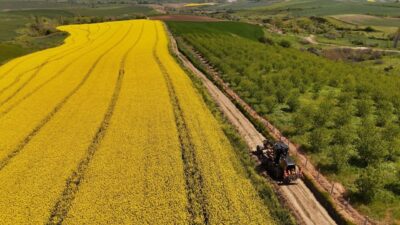 Tekirdağ Büyükşehir Belediyesi, yaklaşan hasat dönemi öncesinde üreticilerin tarlalarına daha