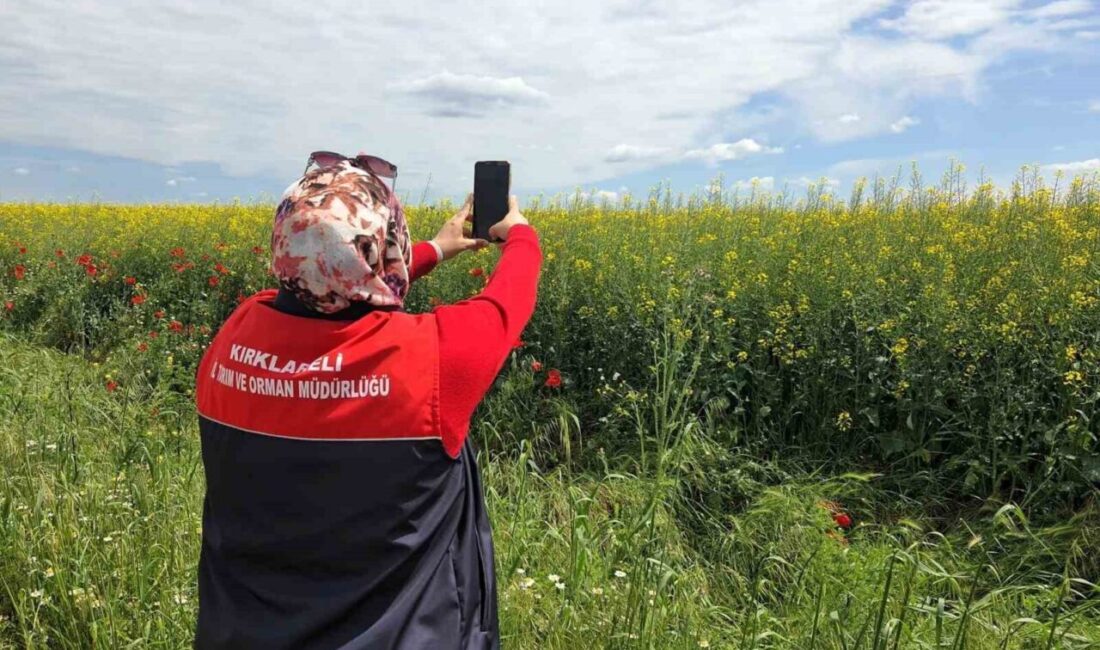 Kırklareli’nin Lüleburgaz ve Babaeski ilçelerinde bitkisel üretim takibinde Coğrafi Bilgi