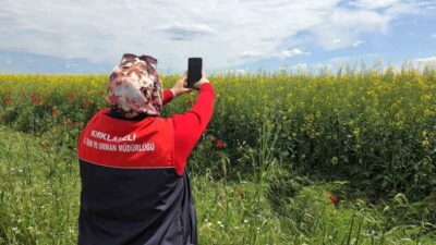 Kırklareli’nin Lüleburgaz ve Babaeski ilçelerinde bitkisel üretim takibinde Coğrafi Bilgi