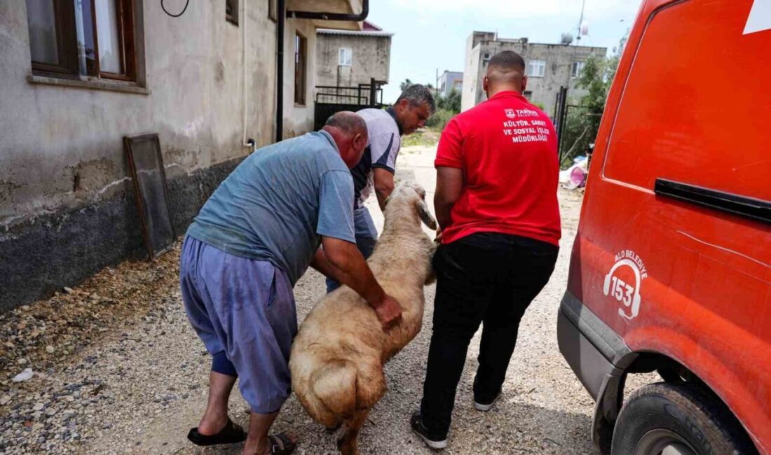 Tarsus Belediyesi, Kurban Bayramı öncesinde sosyal dayanışma kapsamında şehit ailelerine