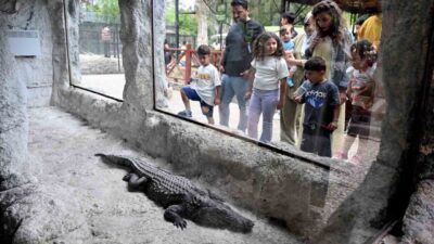Mersin Büyükşehir Belediyesi bünyesinde hizmet veren Tarsus Doğa Parkı, Kurban