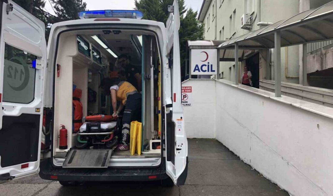 Zonguldak’ın Alaplı ilçesine bağlı Aydınyayla çevresinde faaliyet gösteren bir taş