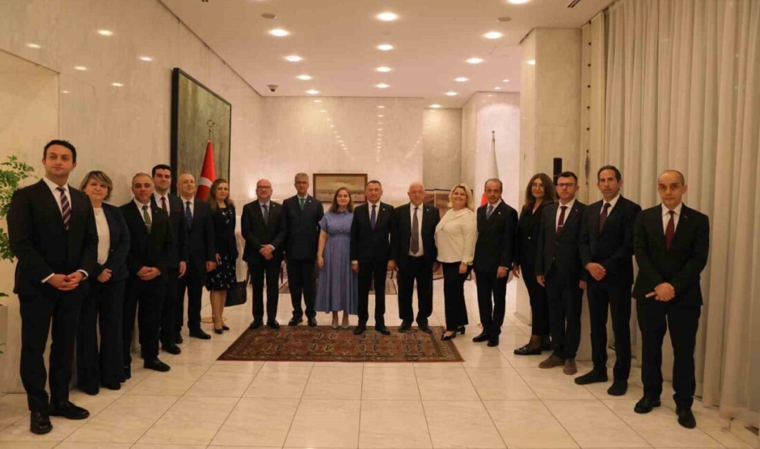 Türkiye Büyük Millet Meclisi (TBMM) Dışişleri Komisyonu Başkanı Fuat Oktay,
