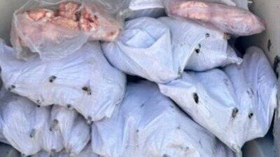 Tekirdağ’ın Ergene ilçesinde jandarma ekiplerinin ihbarı üzerine denetlenen araçta ele
