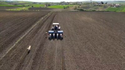 Tekirdağ’da ayçiçeği ekimi tüm hızıyla sürerken, tarlalardaki yoğun mesai drone