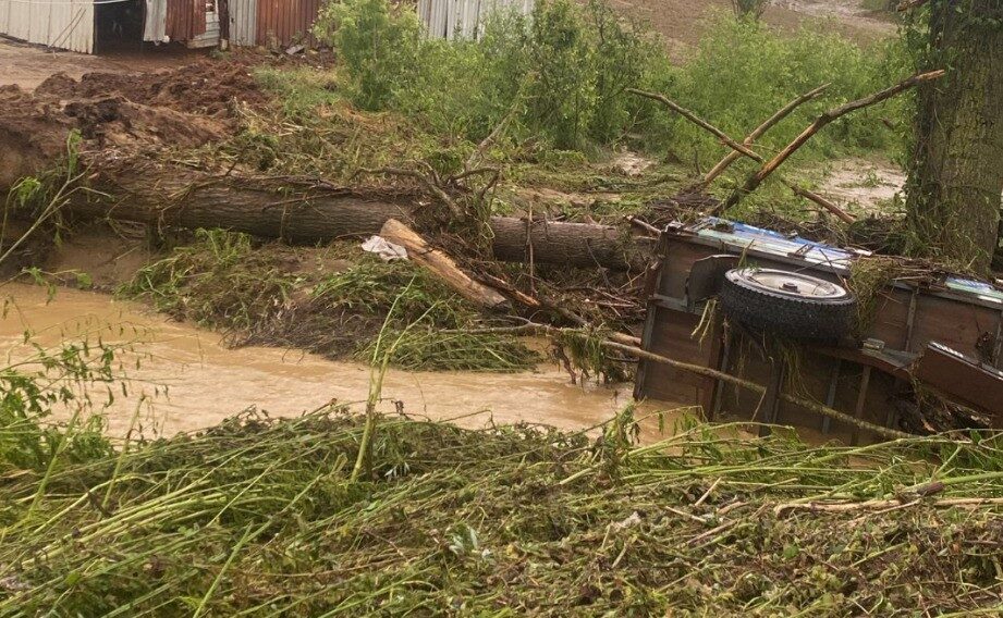 Tekirdağ’ın Süleymanpaşa ilçesinde dün etkili olan sağanak yağış ve dolu,