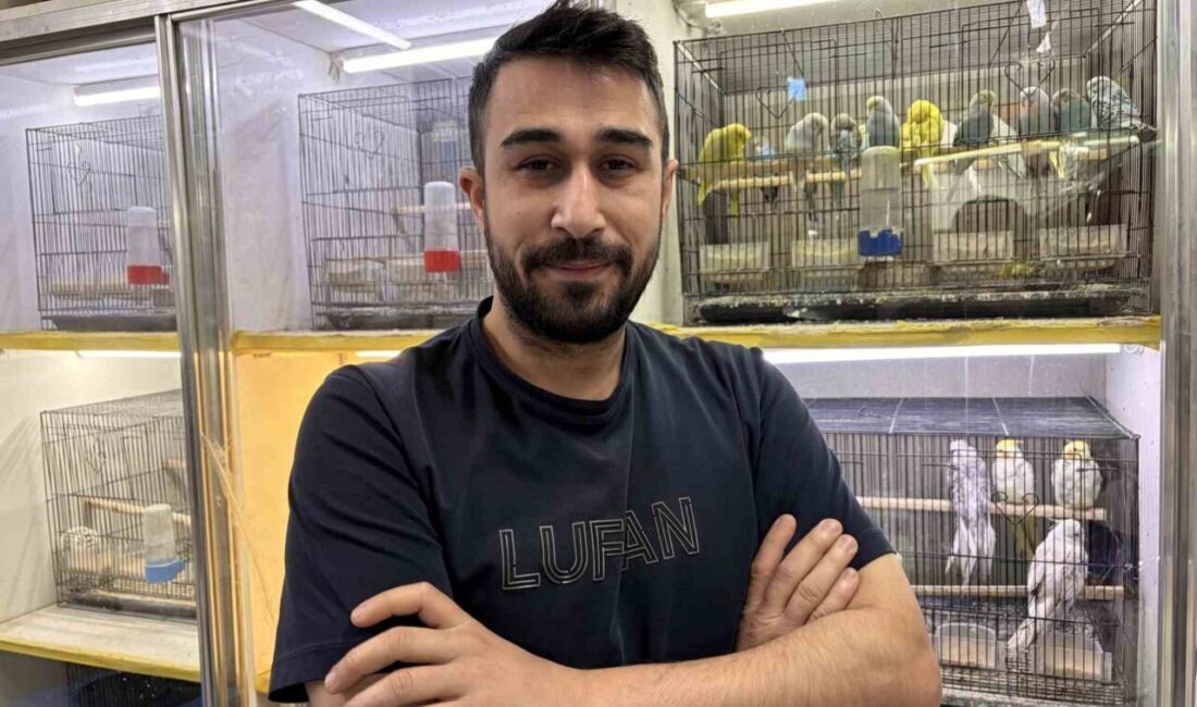 Kayseri’de 10 yıldır petshop sektöründe faaliyet gösteren Mehmet Kocabaş, tablet