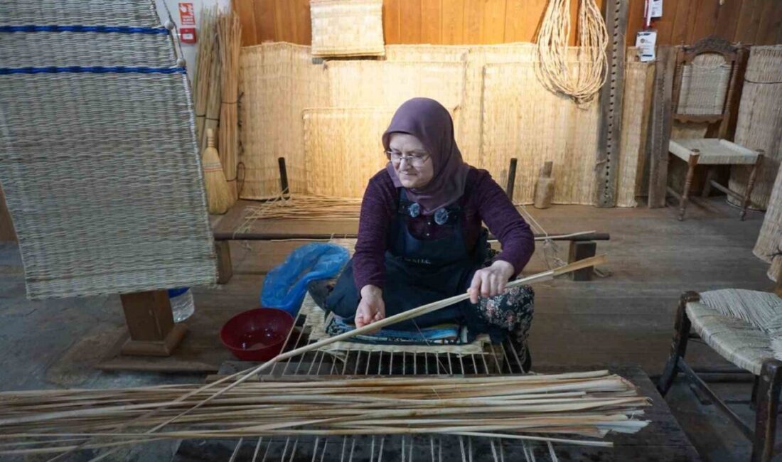 Gelişen teknoloji ve plastik üretimi nedeniyle kaybolmaya yüz tutan hasır