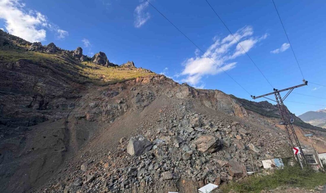 Trabzon’un Maçka ilçesindeki Ocaklı Mahallesi, evlerin hemen alt kesiminde yer