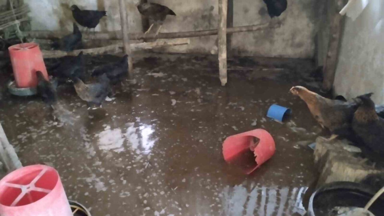 Erzincan’ın Tercan ilçesinde bir çiftlikte meydana gelen su baskınında çok