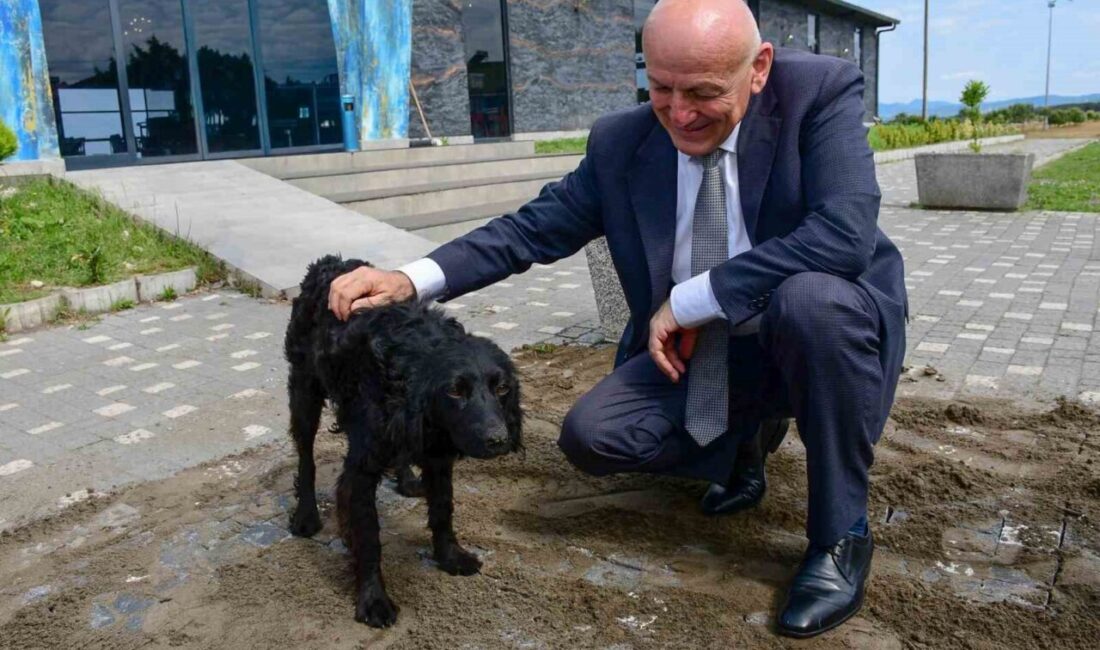 Terme Belediye Başkanı Şenol Kul, ilçeye kazandırılacak olan “Hayvan Bakımevi