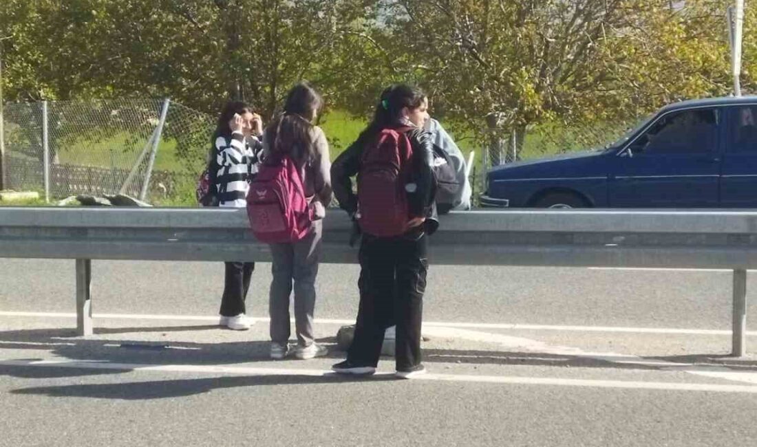 Erzincan merkeze bağlı Terzibaba Mahallesi sakinleri, öğrencilerin okula ulaşımda yaşadığı