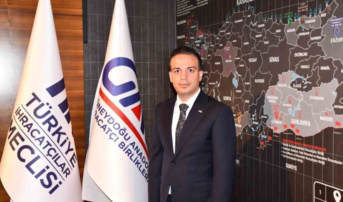 Türkiye İhracatçılar Meclisi (TİM) Halı Sektör Kurulu Başkanı İskender Kaplan,