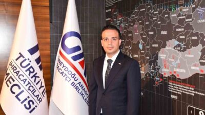 Türkiye İhracatçılar Meclisi (TİM) Halı Sektör Kurulu Başkanı İskender Kaplan,