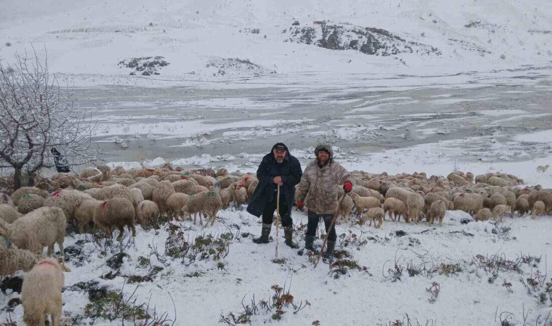 Isparta’nın Yalvaç ilçesine bağlı Yarıkkaya köyünde, yaklaşık 650 küçükbaş hayvanı