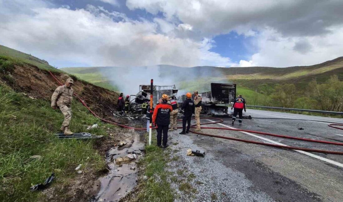 Bitlis’in Tatvan ilçesinde iki tırın kafa kafaya çarpışarak alev topuna