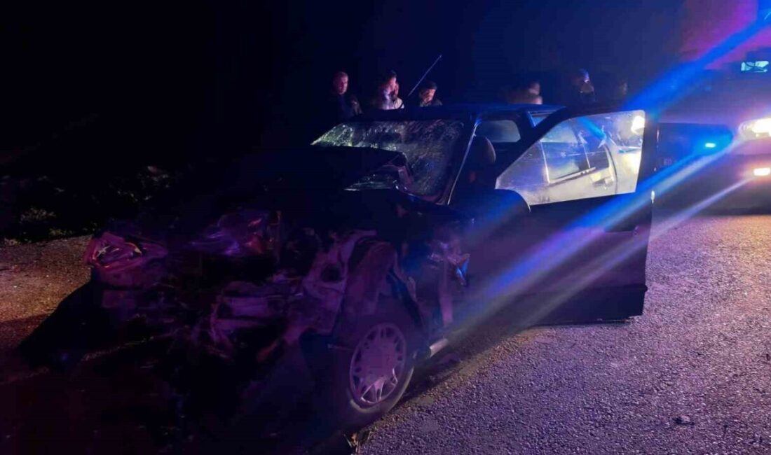Tokat’ın Zile ilçesinde aynı yönde seyir halinde olan iki otomobilin