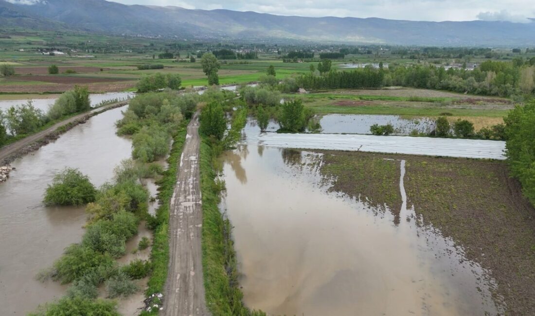 Tokat’ta etkili olan yağmur hayatı olumsuz etkilerken tarlalarda oluşan su