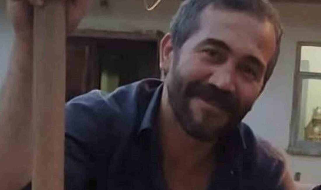 Bartın’ın Ulus ilçesinde ormanda çalışan işçi, tomrukların altında kalarak ağır
