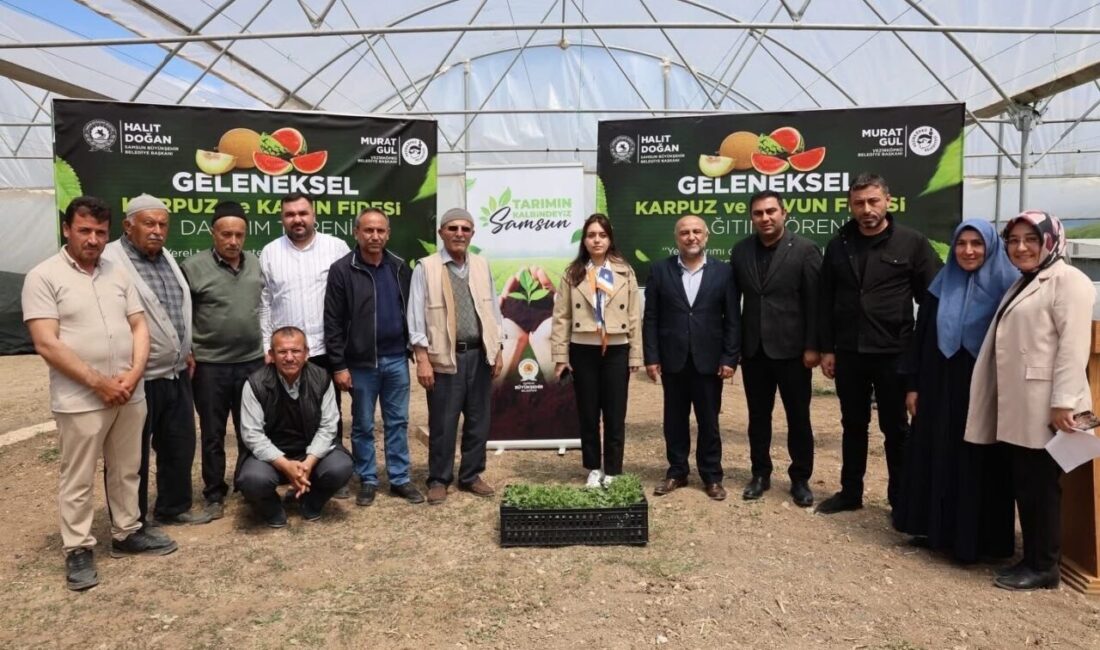 Samsun Büyükşehir Belediyesi, 120 bin fideyi çiftçiye ücretsiz dağıttı. Büyükşehir