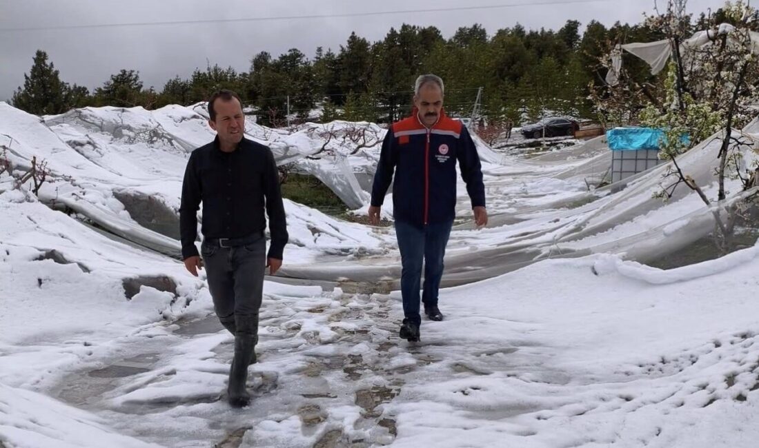Mersin’in Toroslar ilçesinin yüksek rakımlı bölgelerinde etkili olan kar yağışının