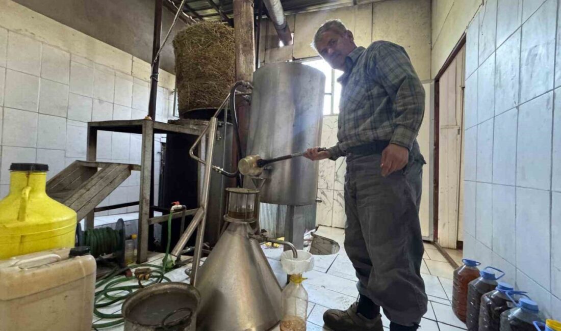 Antalya’nın Akseki ilçesinde yaşayan 61 yaşındaki Abdullah Güven, Toros Dağları’ndan