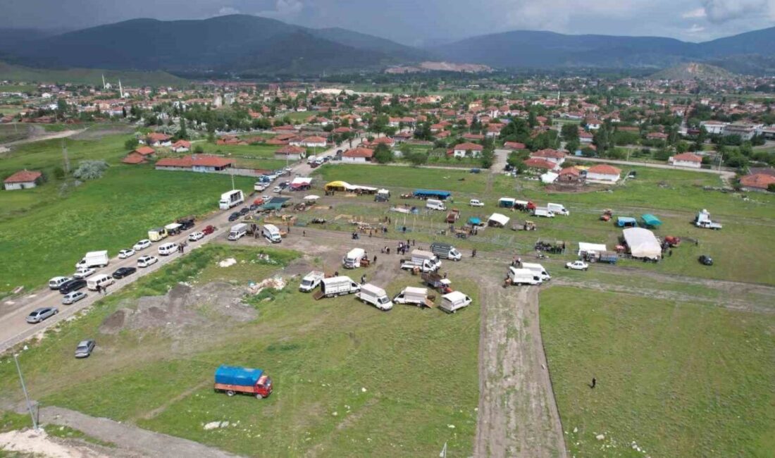 Tokat’ın Turhal ilçesinde taşkın riski nedeniyle sular altında kalan hayvan