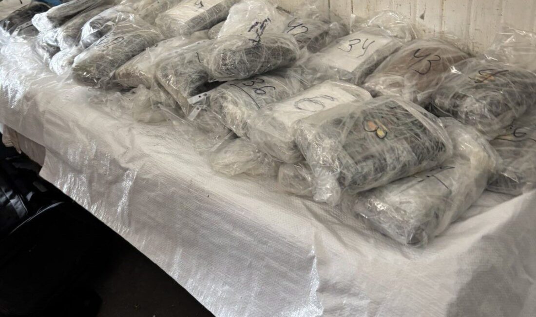 Türkiye’ye sokulmak istenen 47 kilo 910 gram kokain, Edirne Kapıkule